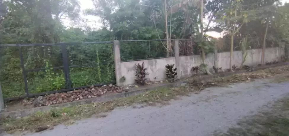 For Sale: 600 sqm Lot in Brgy. Pag Asa, Cannery Polomolok, South Cotabato – Ideal for Home Build — Residential Lot in Cannery Site, Polomolok, South Cotabato — Photo 4