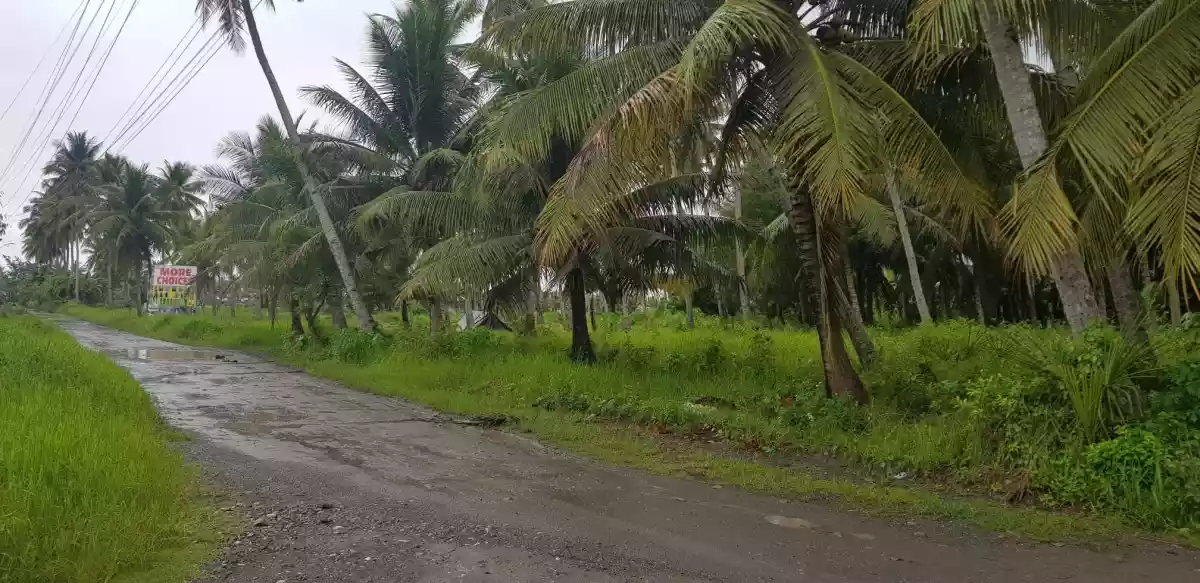 RUSH SALE! 5.178 Hectare Lot in Baluan, General Santos City for ONLY P15M per hectare. STILL NEGOTIABLE. — Agricultural Lot in General Santos City, South Cotabato, Philippines — Photo 5