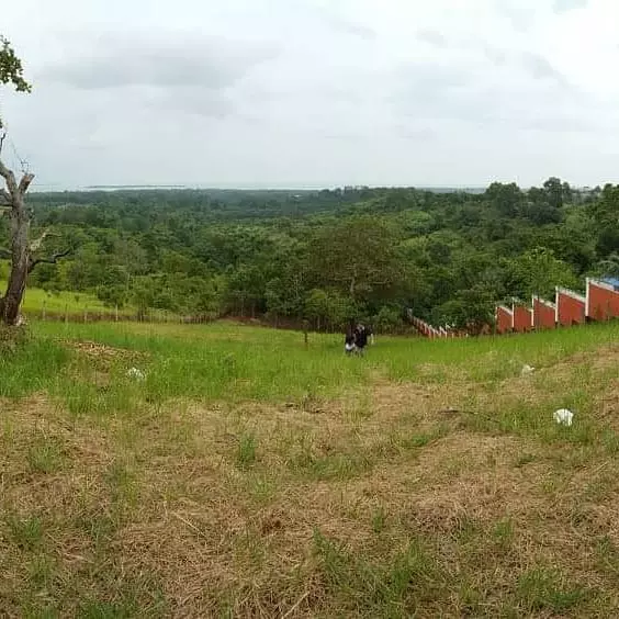 Overlooking Honda Bay Property - photo 6