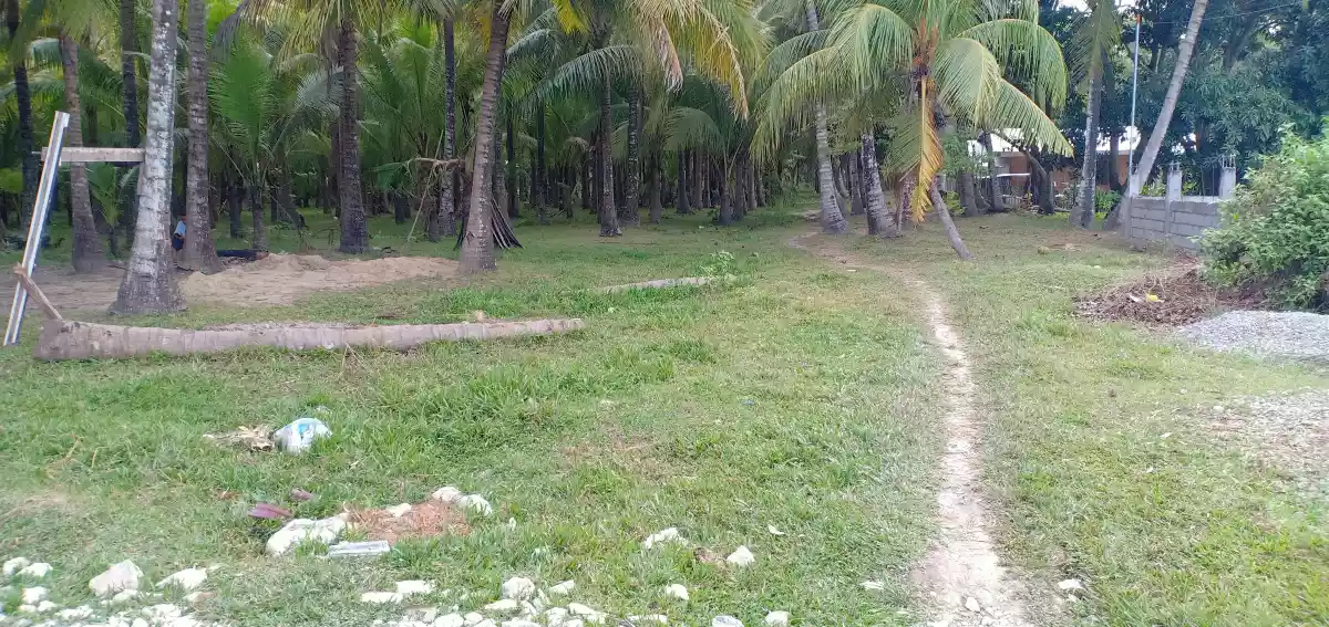 Lot for Sale in Sibulan