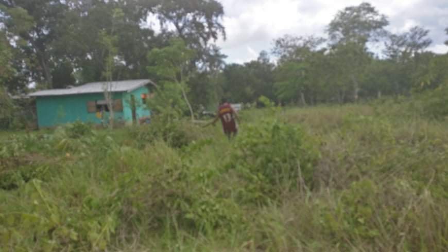 Lot for sale - photo 2