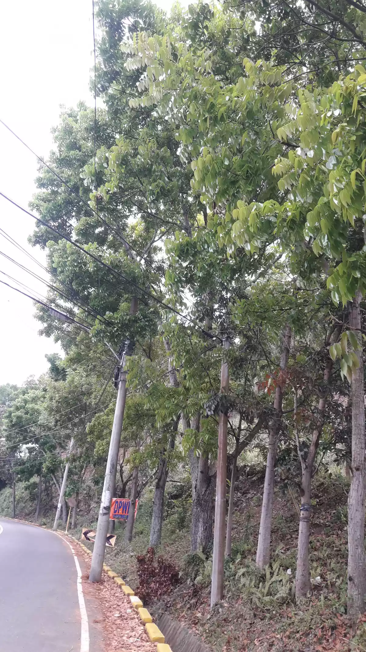 LOT FOR SALE - photo 3