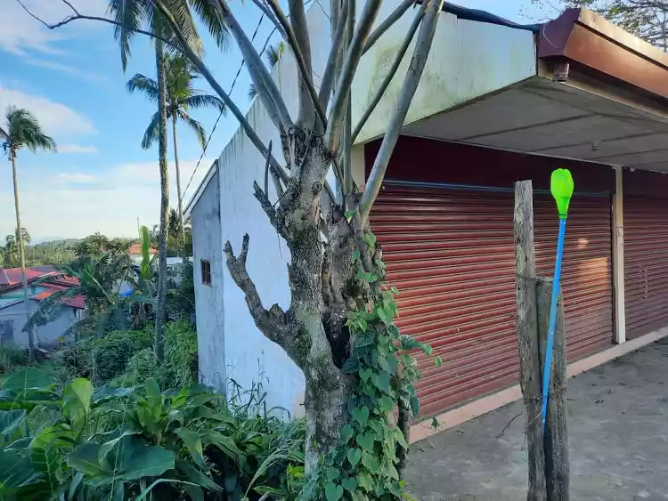 Casile Commercial Property for Sale - photo 4