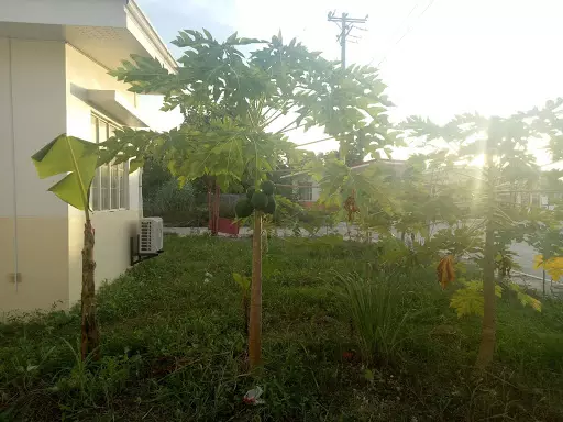 House and lot in FUTURA homes Mactan — House and Lot in Lapu-Lapu City, Cebu, Philippines — Photo 5