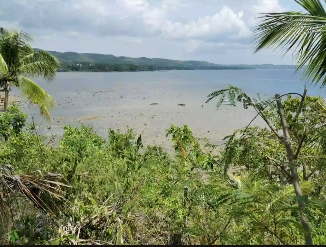 Beach Lot in Tabogon Cebu - photo 2