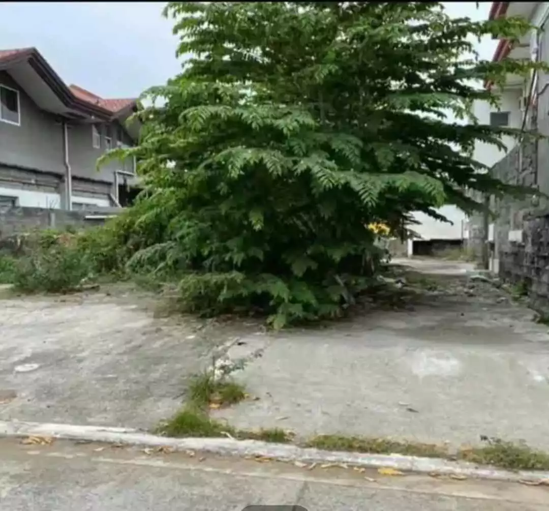 Residential Lot — Residential Lot in Davao City, Philippines, Malaysia — Photo 2