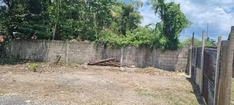 Lot For Rent Talisay City - photo 4