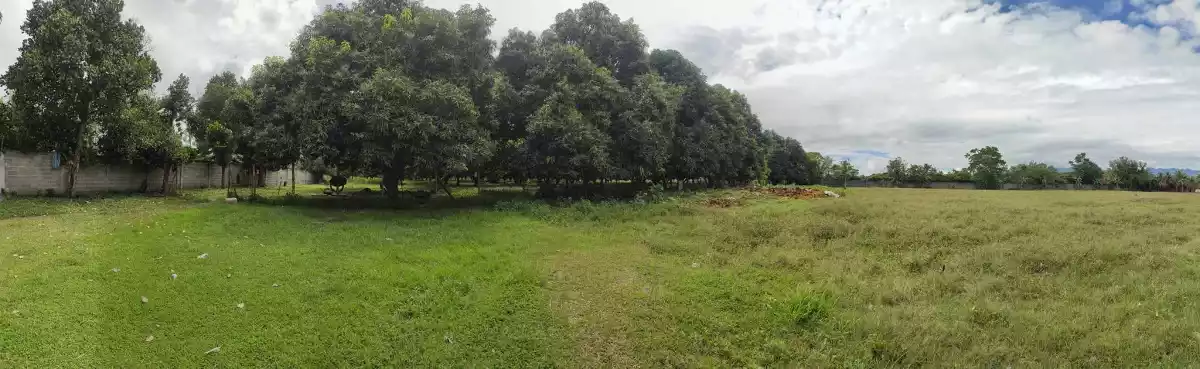 4-Hectare Farmland with Fruit-bearing Trees and River Access — Agricultural Lot in South Cotabato, Philippines — Photo 5