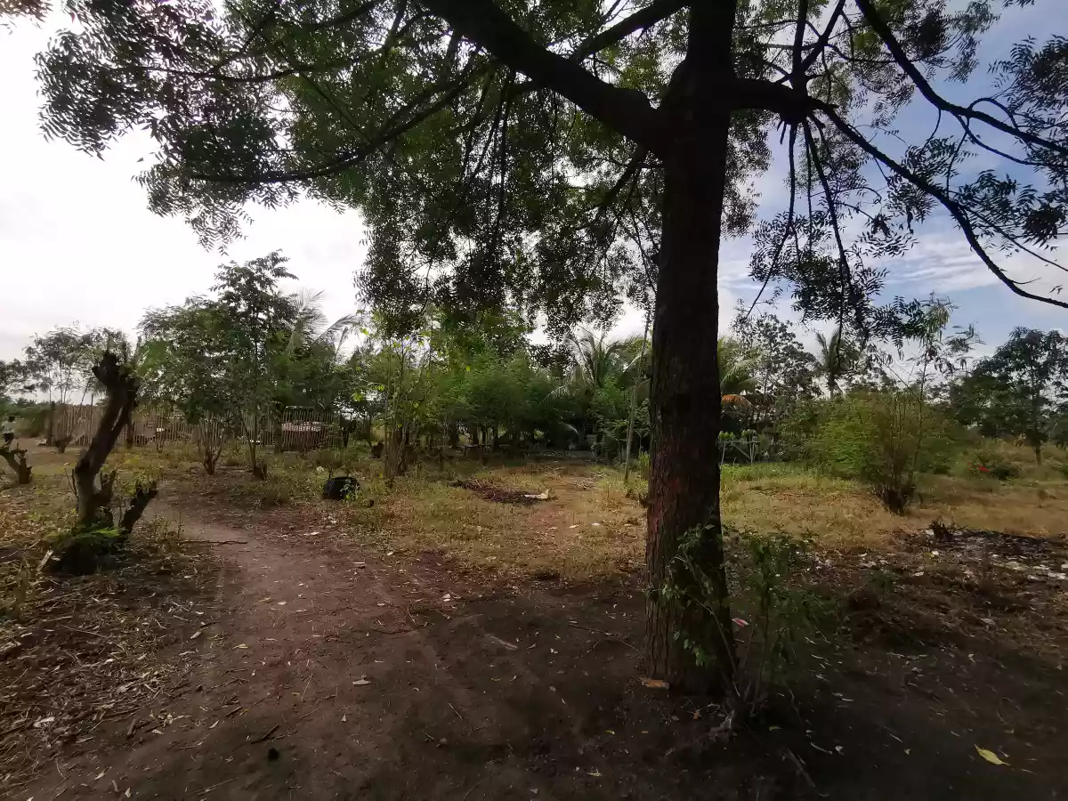 1000sqm and 1500sqm Lot at the Back of TLG Mabuhay  - photo 5