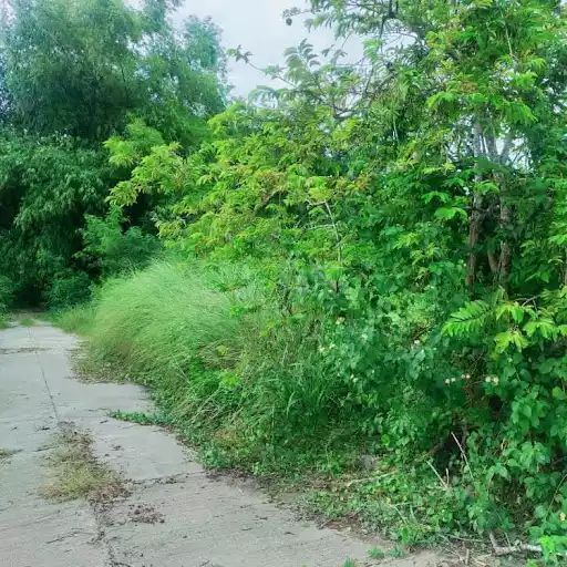 RESIDENTIAL LOT IN GREENVILLE SUBD URDANETA — Residential Lot in Pangasinan, Philippines — Photo 6