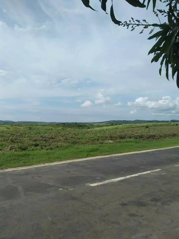 Affordable lot for sale - photo 7