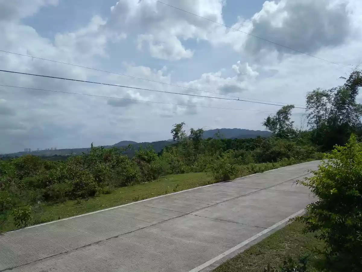 Consolacion Lot for Sale - photo 2