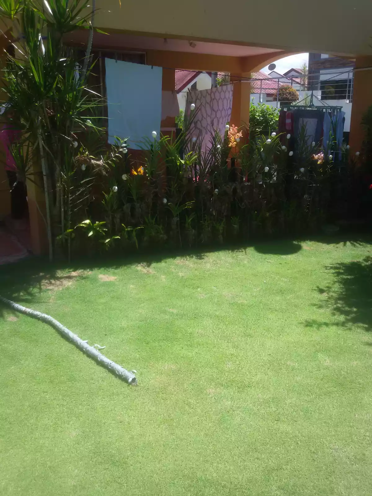 Davidproperty - photo 3