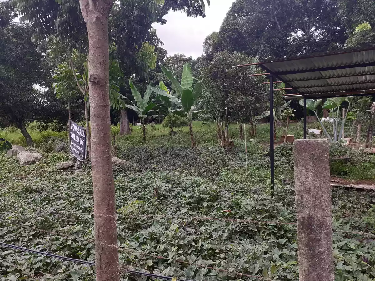 Lot 3,834sqm for sale — Agricultural Lot in Cagayan de Oro, Misamis Oriental, Philippines — Photo 5