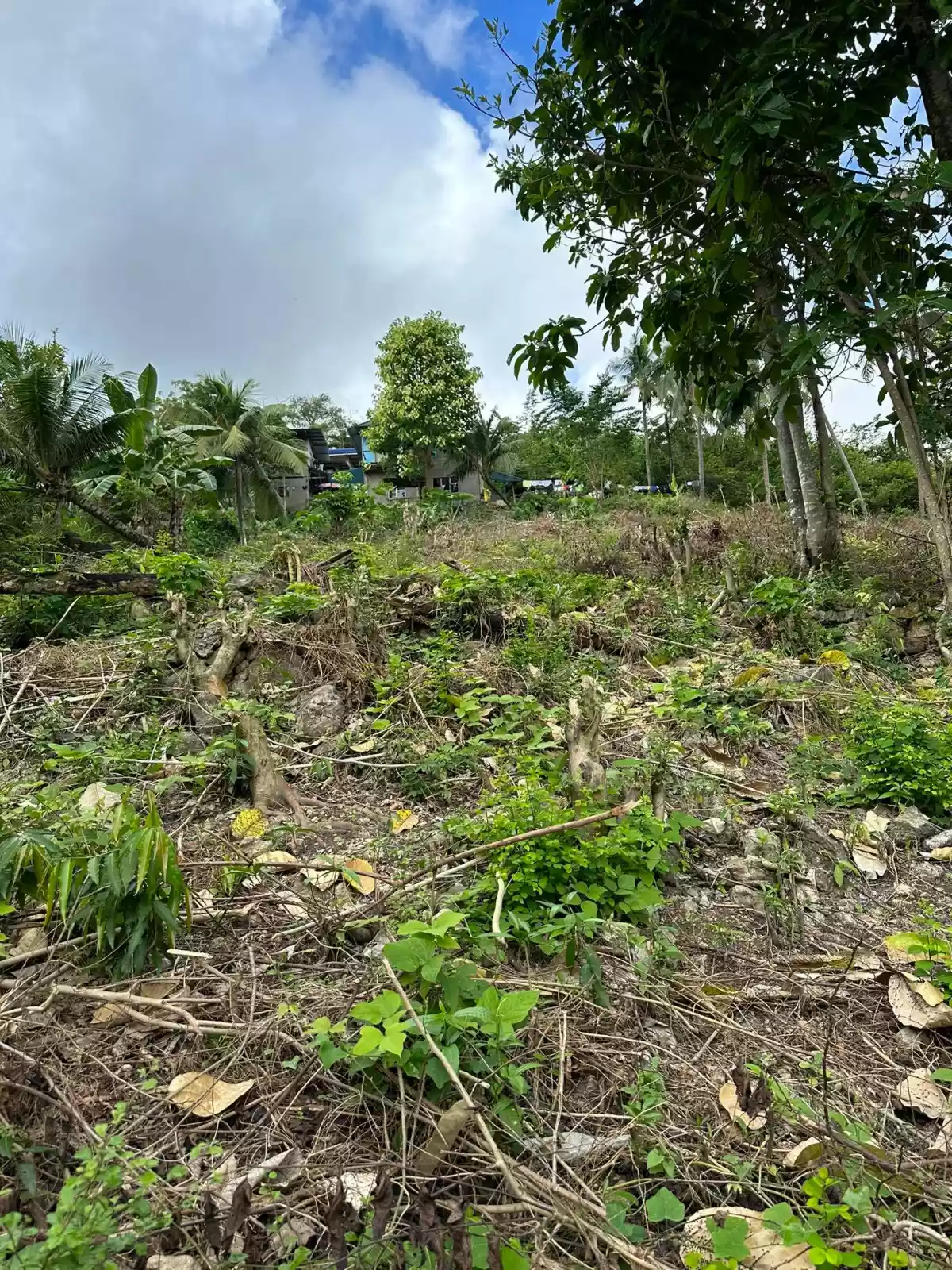 FOR SALE NAGA CEBU LOT ONLY — Residential Lot in City of Naga, Cebu, Philippines — Photo 5