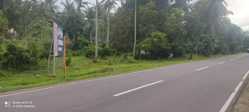 Residential Lot for Sale in Tubigon, Bohol — Residential Lot in Bohol, Philippines — Photo 5