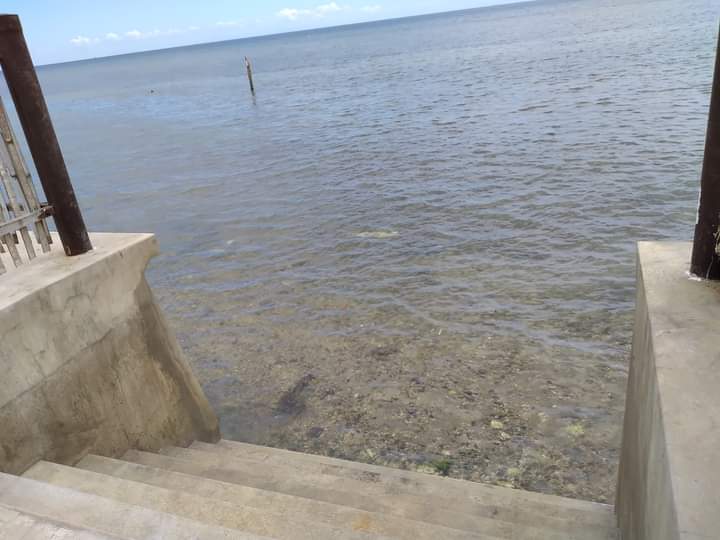 Beach Lot for Sale - photo 5