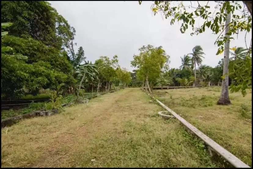 Beachlot for sale - photo 4