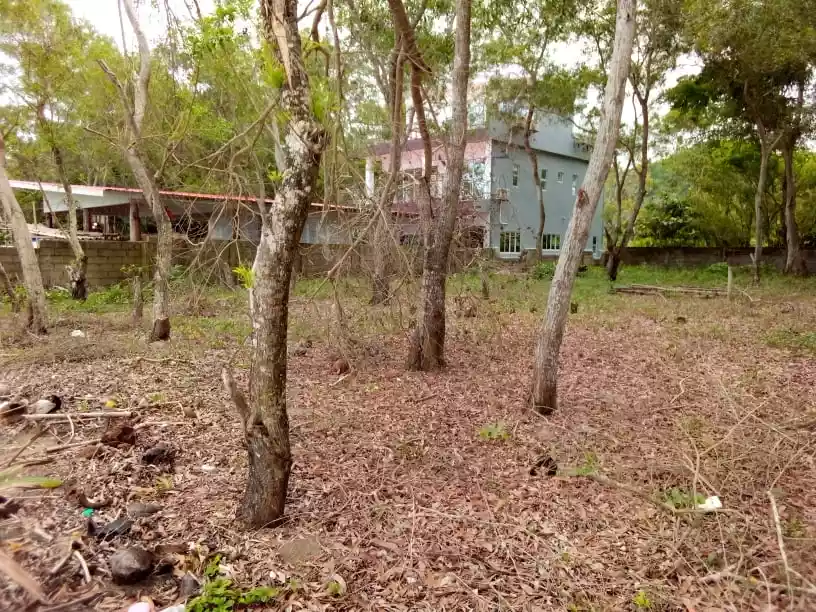 Sipalay City Beach Lot — Beach Lot in Sipalay, Negros Occidental, Philippines — Photo 7