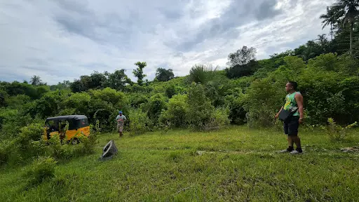 2.3 hectares farm lot for sale in Initao Misamis Oriental 3 kms away from national hiway
