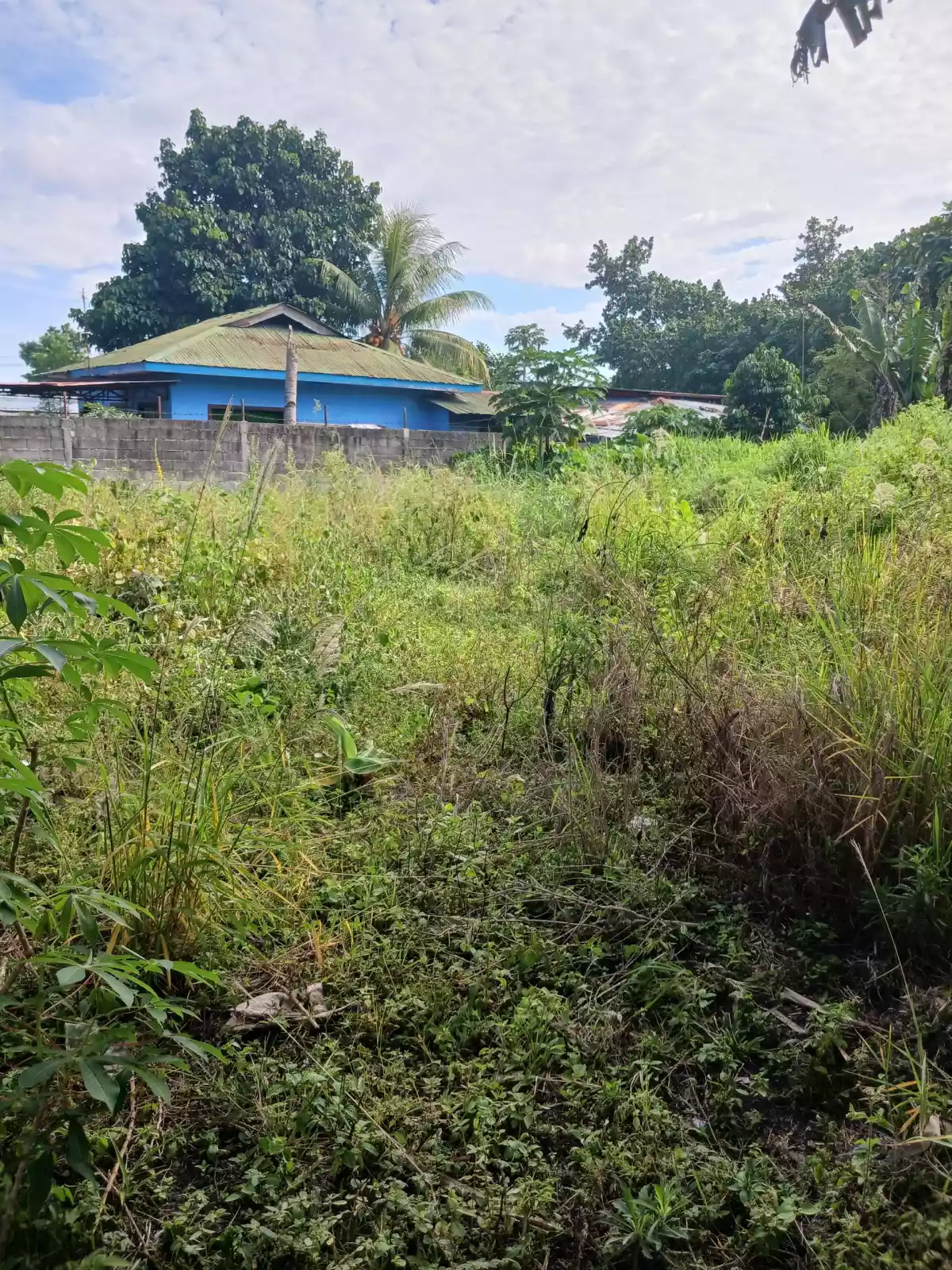 Affordable Lot in Polomolok - photo 4