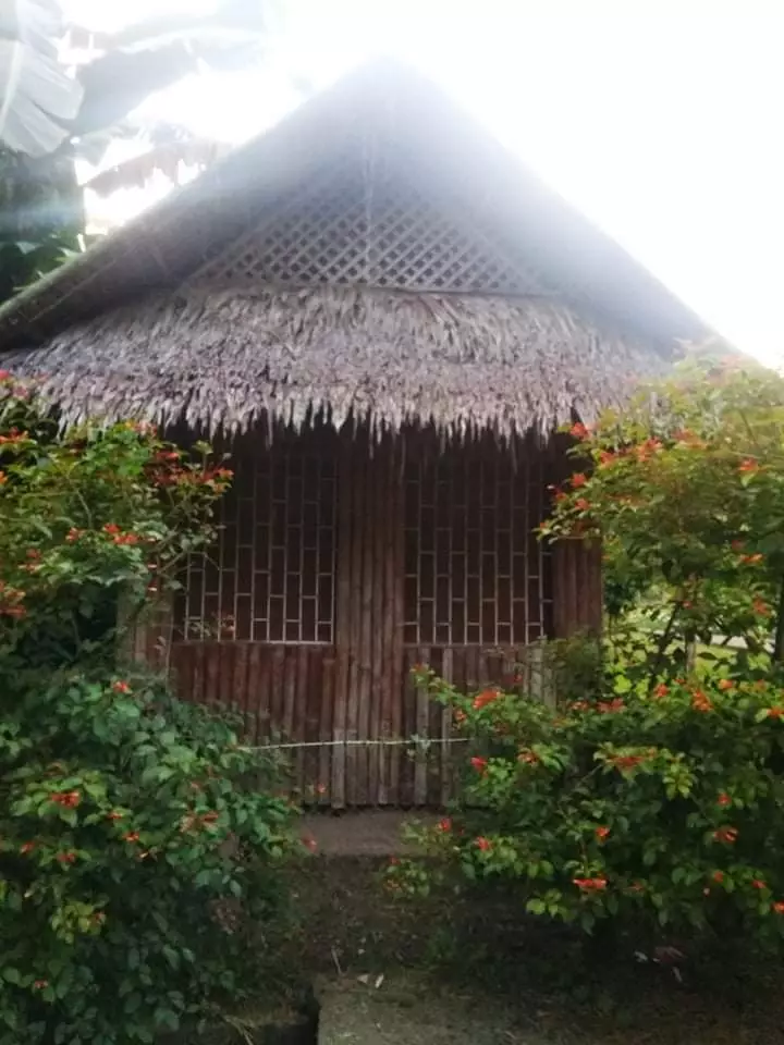 Open photo 14 of 14 — Dumaguete Farm Land for Sale