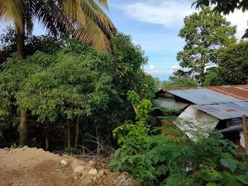 Residential lot for sale — Commercial Lot in Talomo, Davao City, Davao del Sur — Photo 5