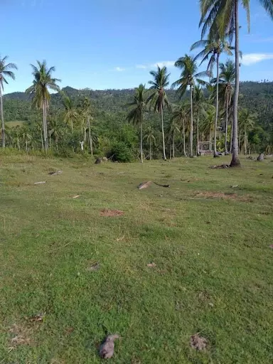 FARM LOT IN BARILI