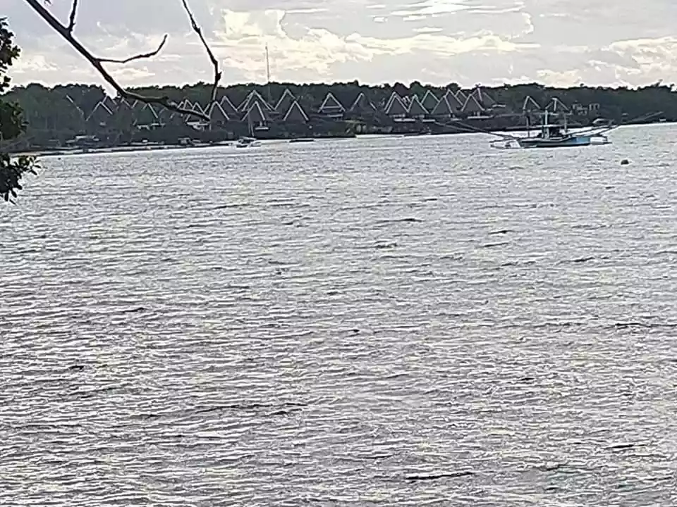 Beachfront 238sqm clean title lot for sale in Tabalong Dauis Panglao Island Bohol  17k per sqm - photo 4