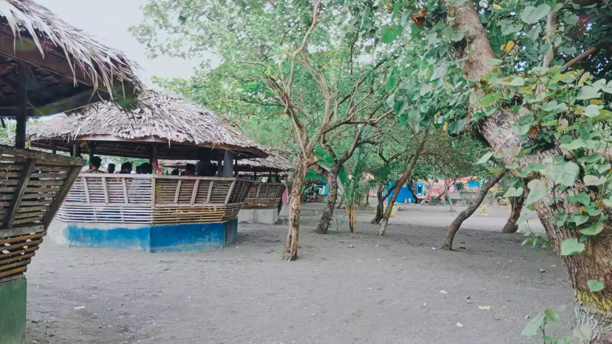 For Sale!!! Beach Resort In Cabadbaran — Beach Lot in Cabadbaran City, Agusan Del Norte, Philippines — Photo 5