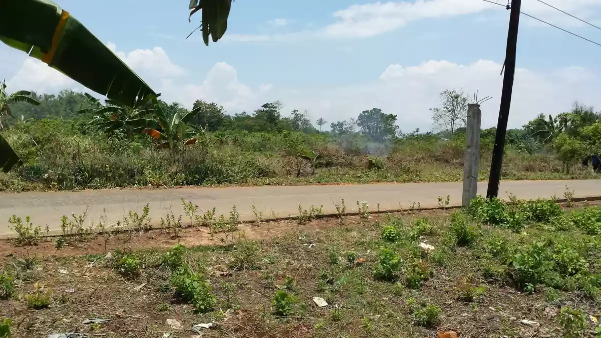 Olango lot for SALE Lapulapu City near Olango Port - photo 2