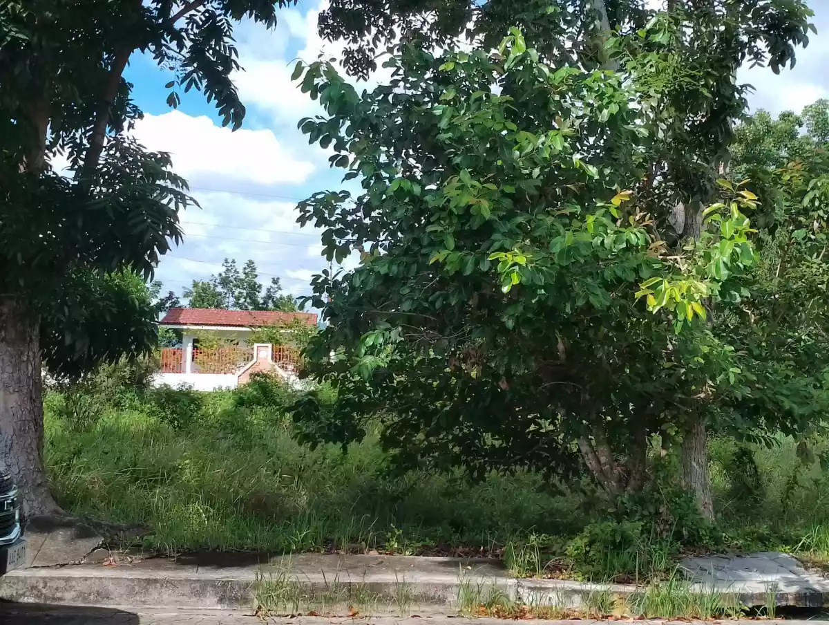 SUBDIVISION LOT FOR SALE - photo 4