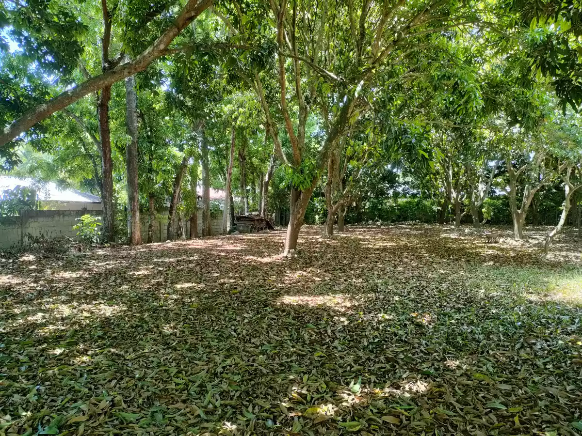 Lot for Sale with Bachelors Pad in Talay Dumaguete City — Residential Lot in Dumaguete, Negros Oriental, Philippines — Photo 3