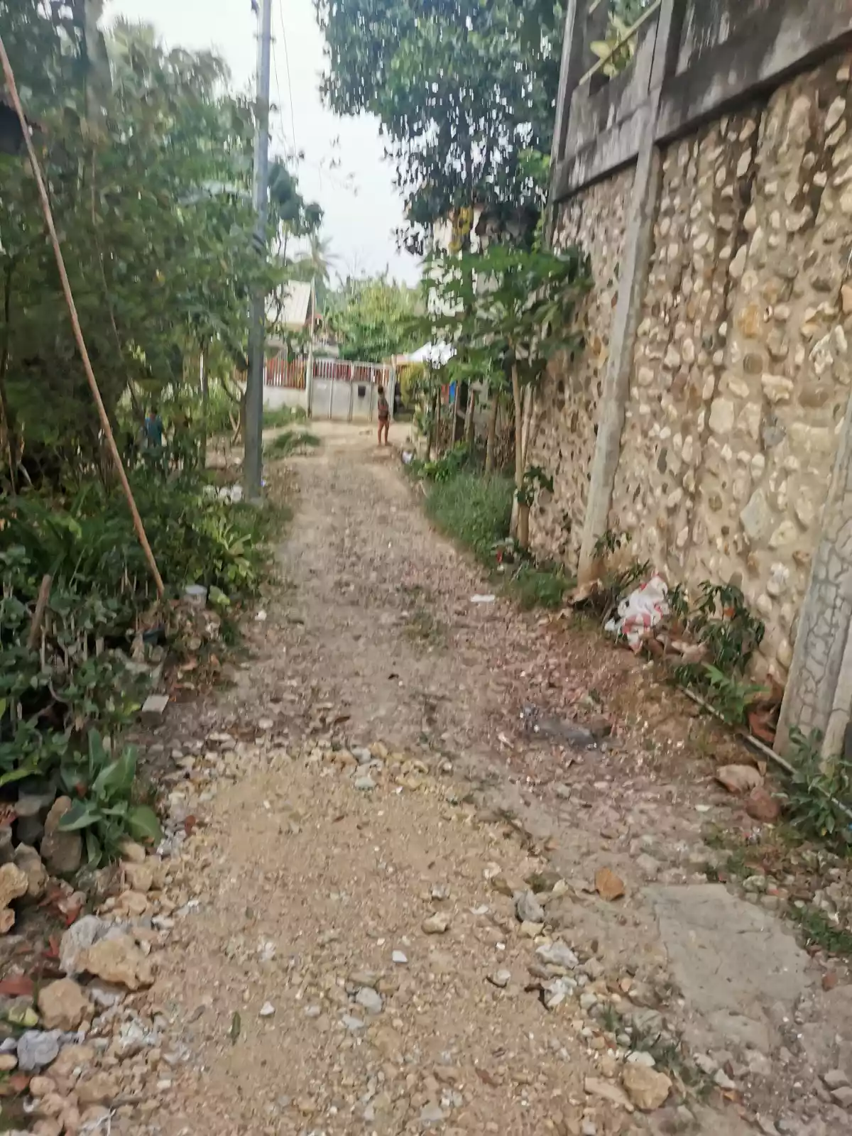 Residential Lot in Poblacion Liloan  - photo 6