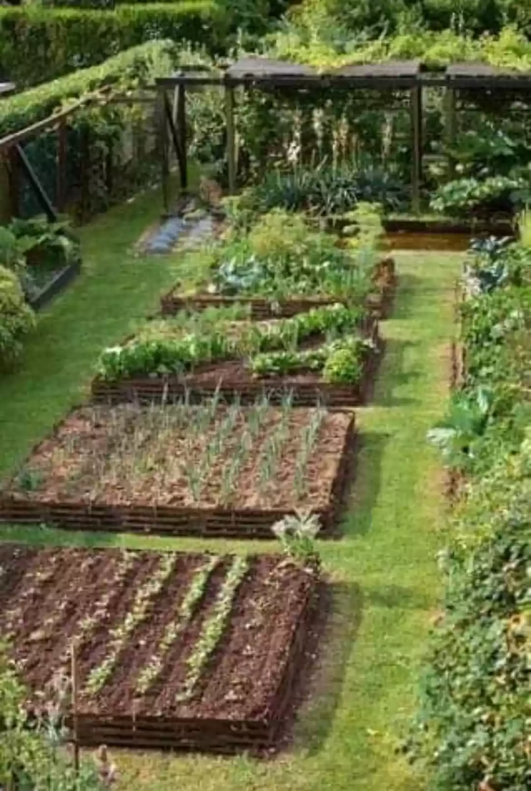 Farm lot For Sale at BIASONG BALAMBAN - photo 3