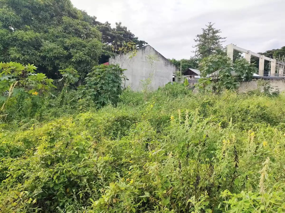 Residential Lot for Sale in Candau-ay, Dumaguete City — Residential Lot in Dumaguete City, Negros Oriental, Philippines — Photo 6