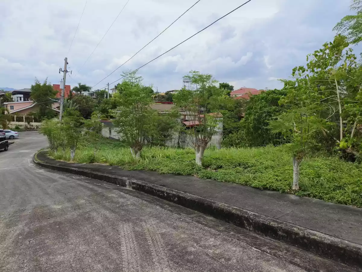 Residential Corner Lot in Royale Cebu Estate — Residential Lot in Consolacion, Cebu, Philippines — Photo 2