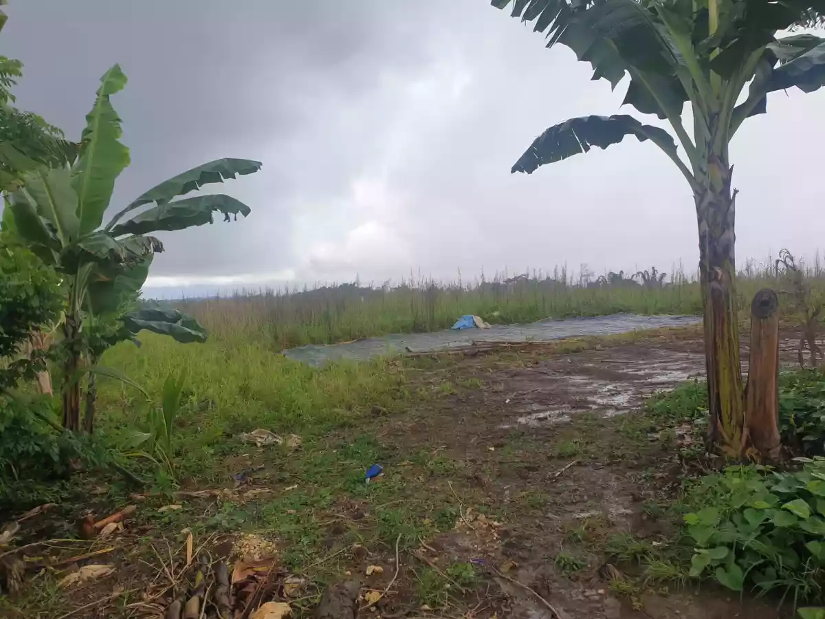 Agricultural Lot for Sale! — Agricultural Lot in Bukidnon, Philippines — Photo 2