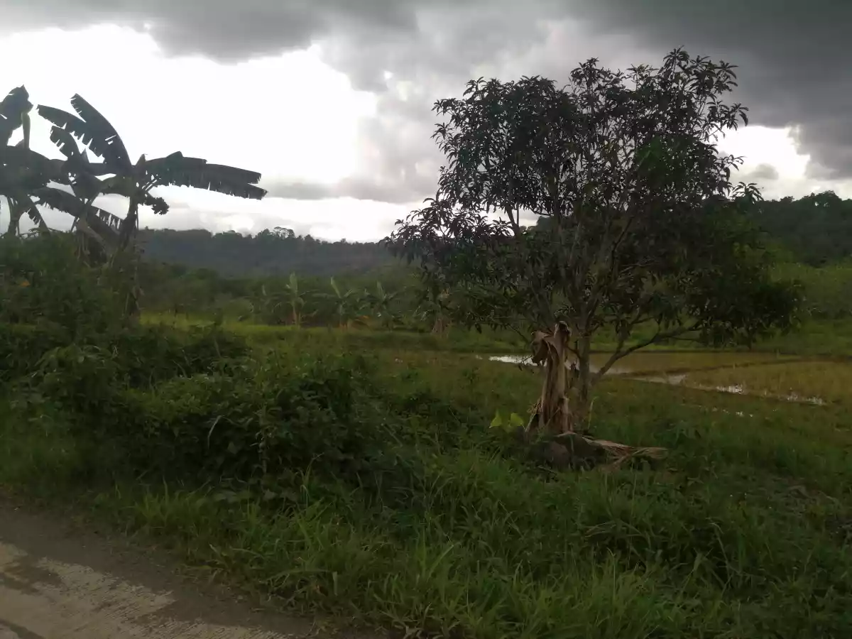 Open photo 13 of 14 — 400sqm Lot for Sale
