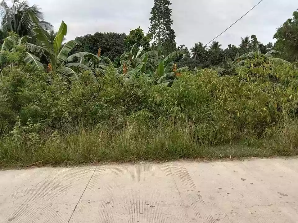 Agriculture Lot Titled - photo 4