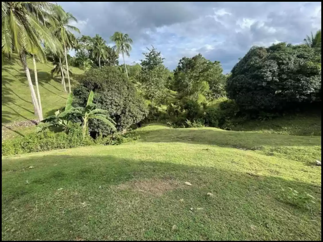 Open photo 11 of 11 — Titled Farmlot in Toledo City