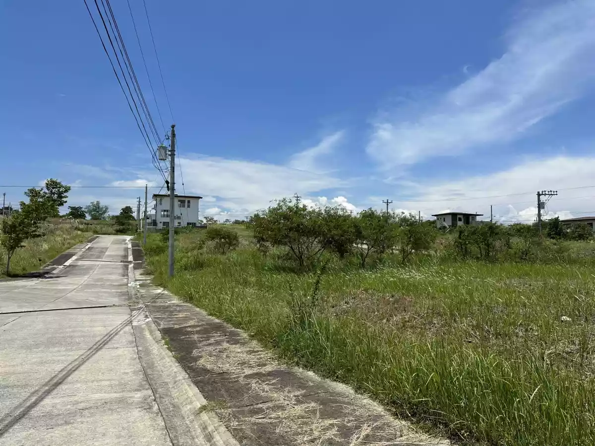 LOT FOR SALE IN NORTHTOWN — Residential Lot in Buhangin, Davao City, Davao del Sur — Photo 3