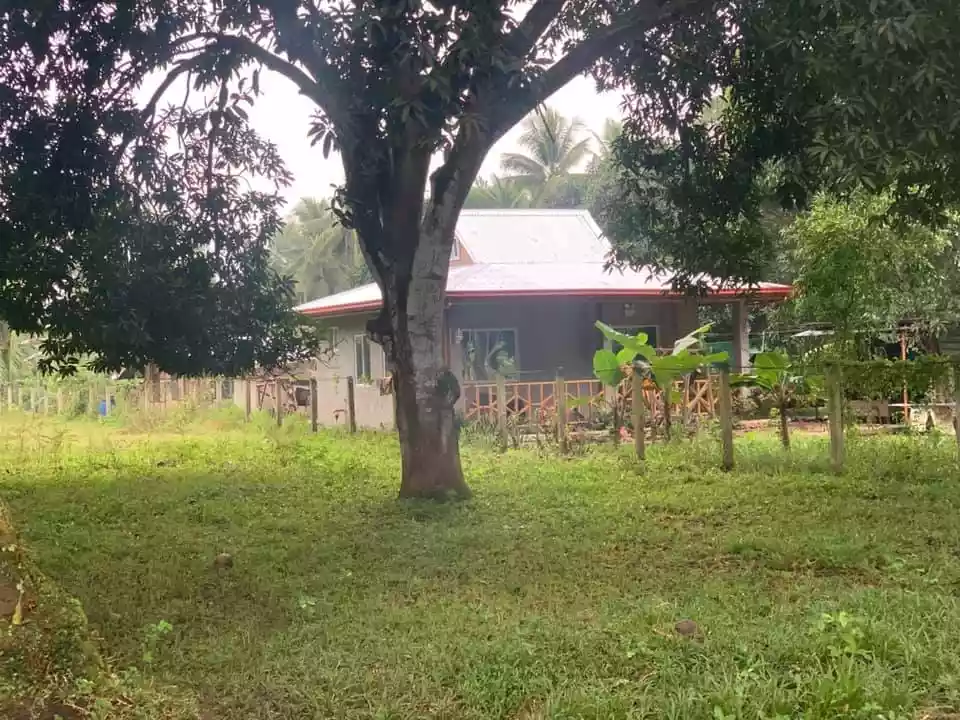 Mini Farm with Concerete House and Livestock Houses and Pens - photo 4