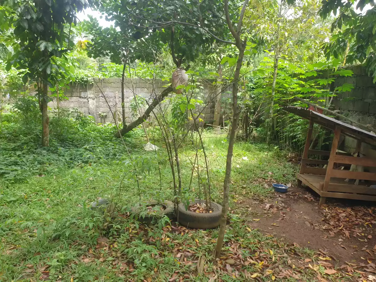 Residential Lot with 10 Pads for Sale — Boarding House in Malaybalay, Bukidnon, Philippines — Photo 4