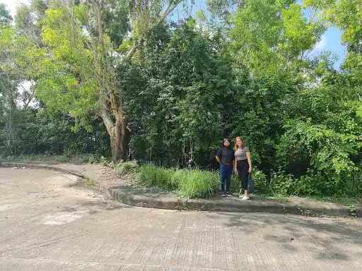 Lot for Sale in Alta Vista Subdivision — Residential Lot in Cebu City, Cebu, Philippines — Photo 7