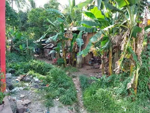 Titled — Commercial Lot in Agusan Del Norte, Philippines — Photo 5