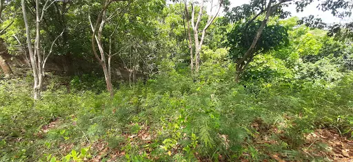 Open photo 15 of 16 — Overlooking City View in Maria Luisa Banilad lot only 