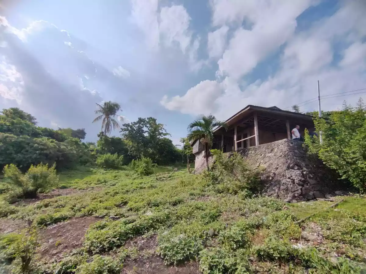FOR SALE Lot in Tayud, Consolacion, Cebu — Agricultural Lot in Consolacion, Cebu, Philippines — Photo 7