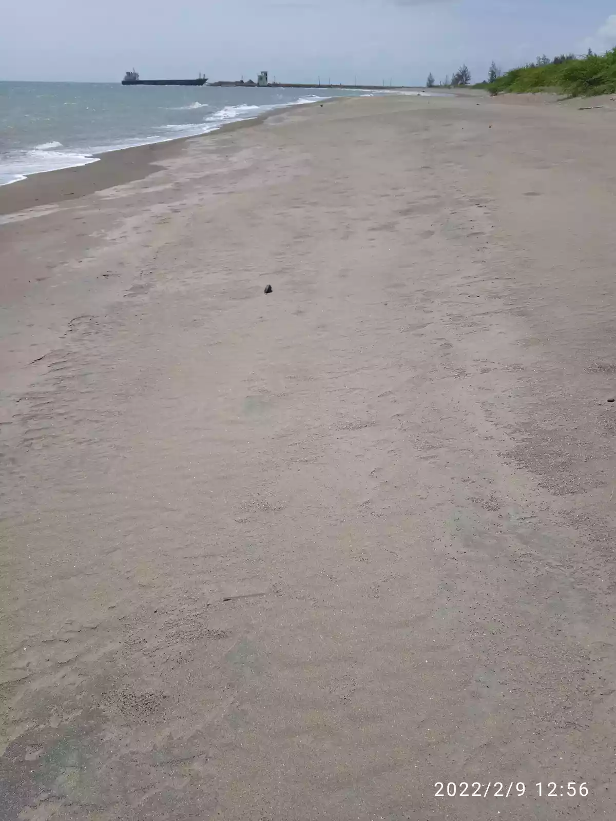 Beachfront — Beach Lot in Unnamed Road, Narra, Palawan — Photo 4