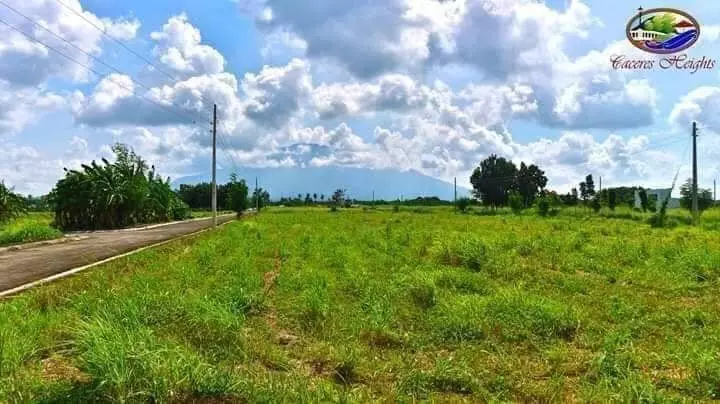 159 sqm LOT ONLY at Caceres Heights, Pacol - photo 4
